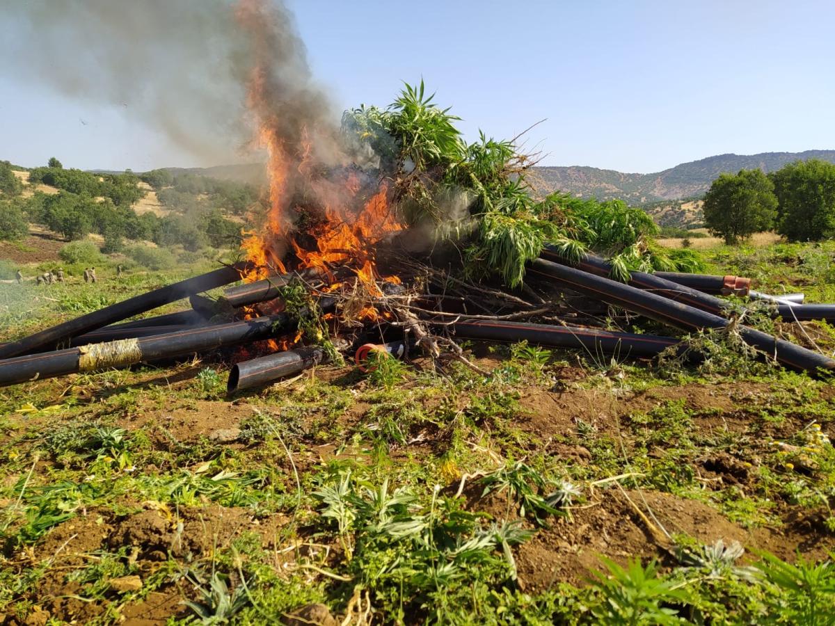 Diyarbakır'da terör örgütüne ağır darbe: 1 ton esrar