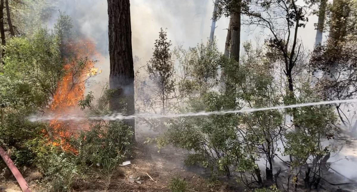 Sarıyer'de ormanlık alanda yangın çıktı