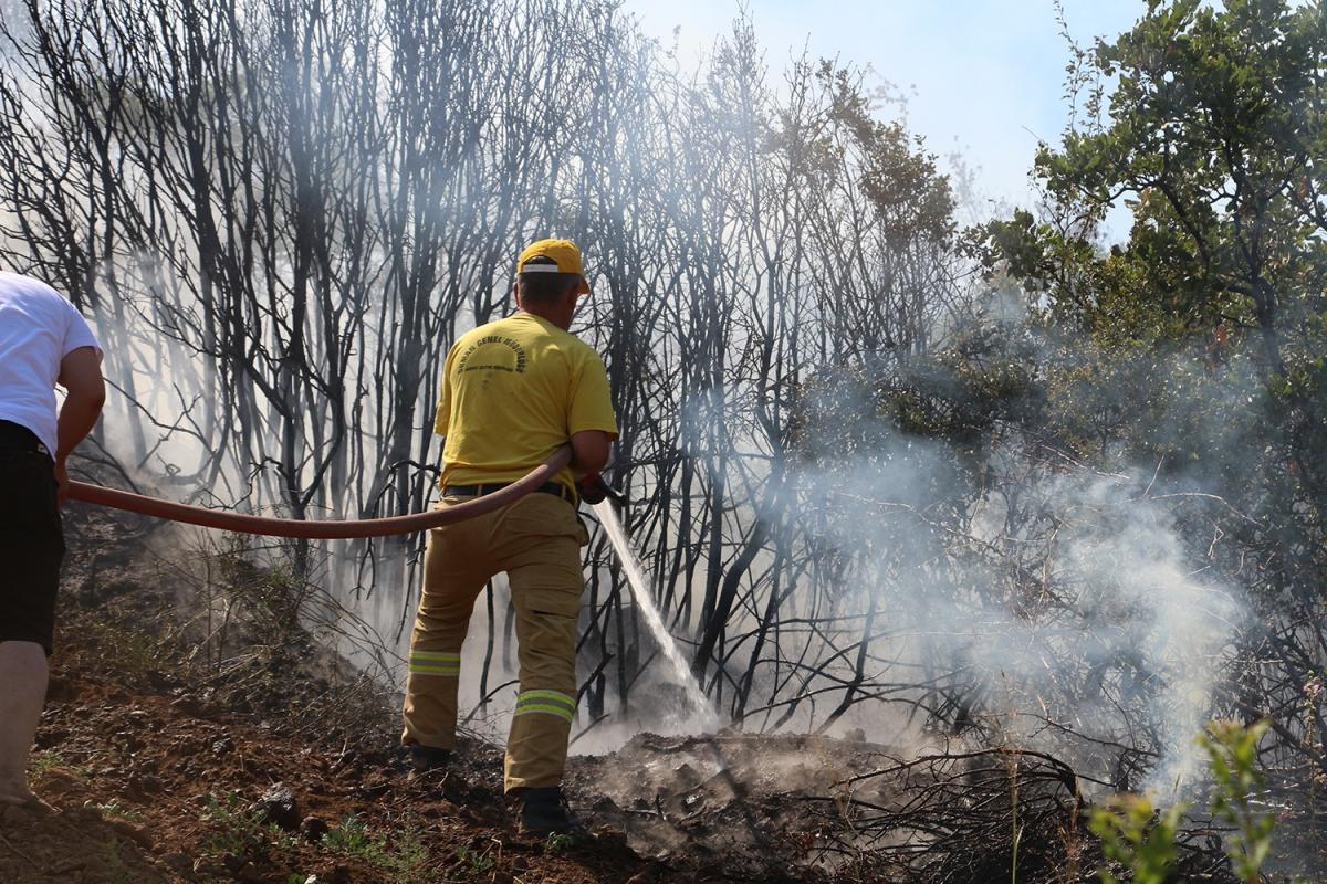 Manisa’da 20 dekar alan küle döndü