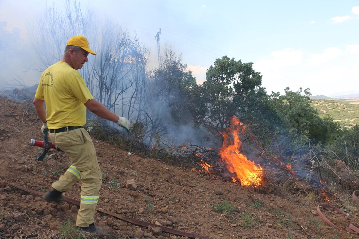 Manisa’da 20 dekar alan küle döndü