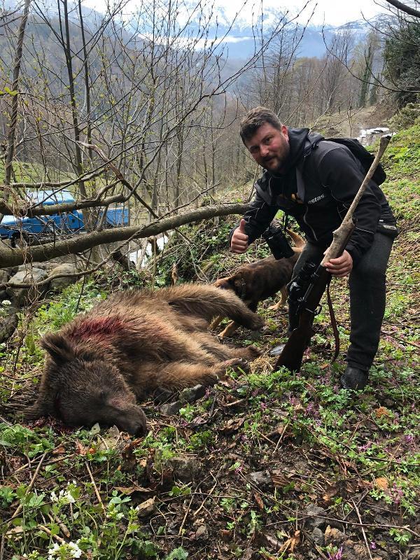 Artvin’de yavru ayının öldüren cani serbest kaldı