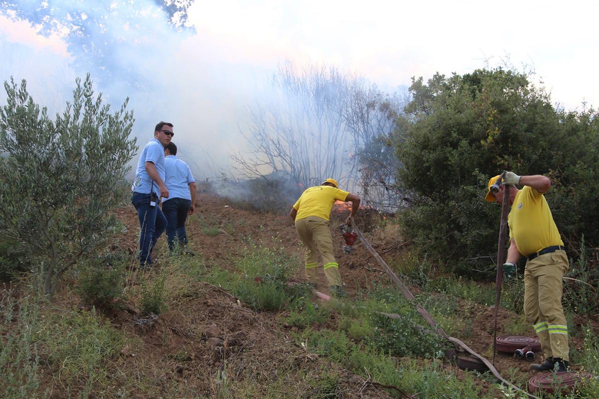 Manisa’da 20 dekar alan küle döndü