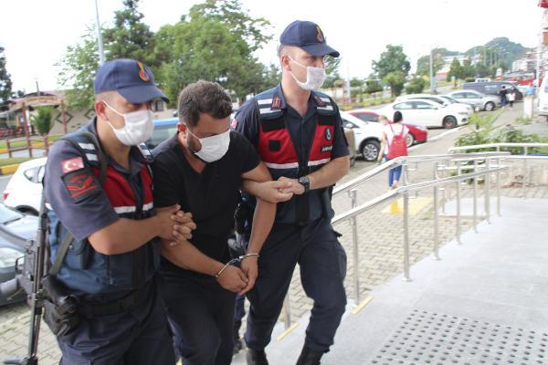 Artvin’de yavru ayının öldüren cani serbest kaldı