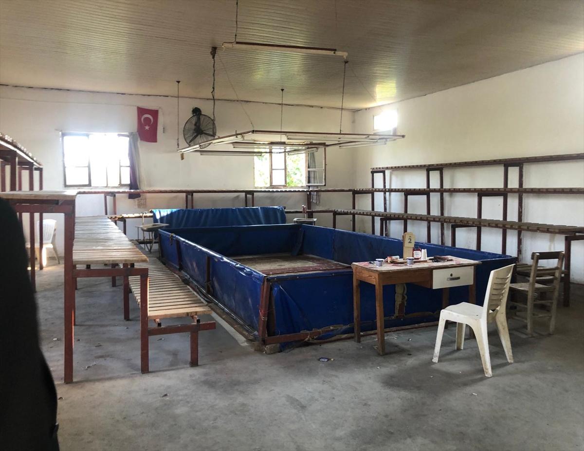 Adana'da horoz dövüşü yaptırılan iki derneğe operasyon