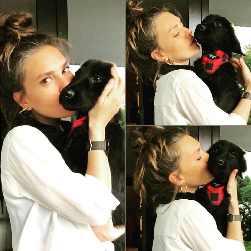 Aslı Enver, barınaktan köpek aldı