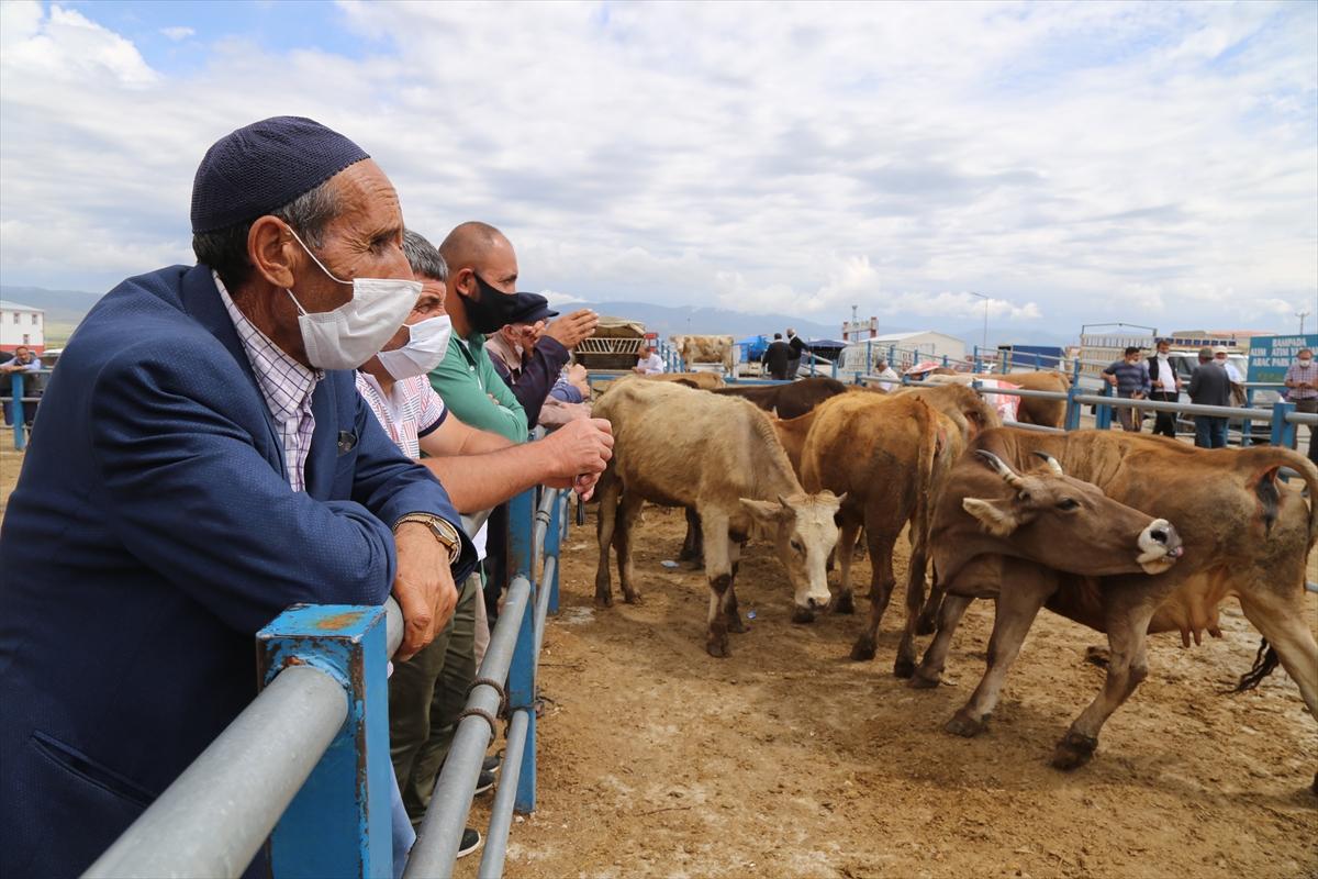 Kurbanlıklar batı illerine doğru yola çıktı