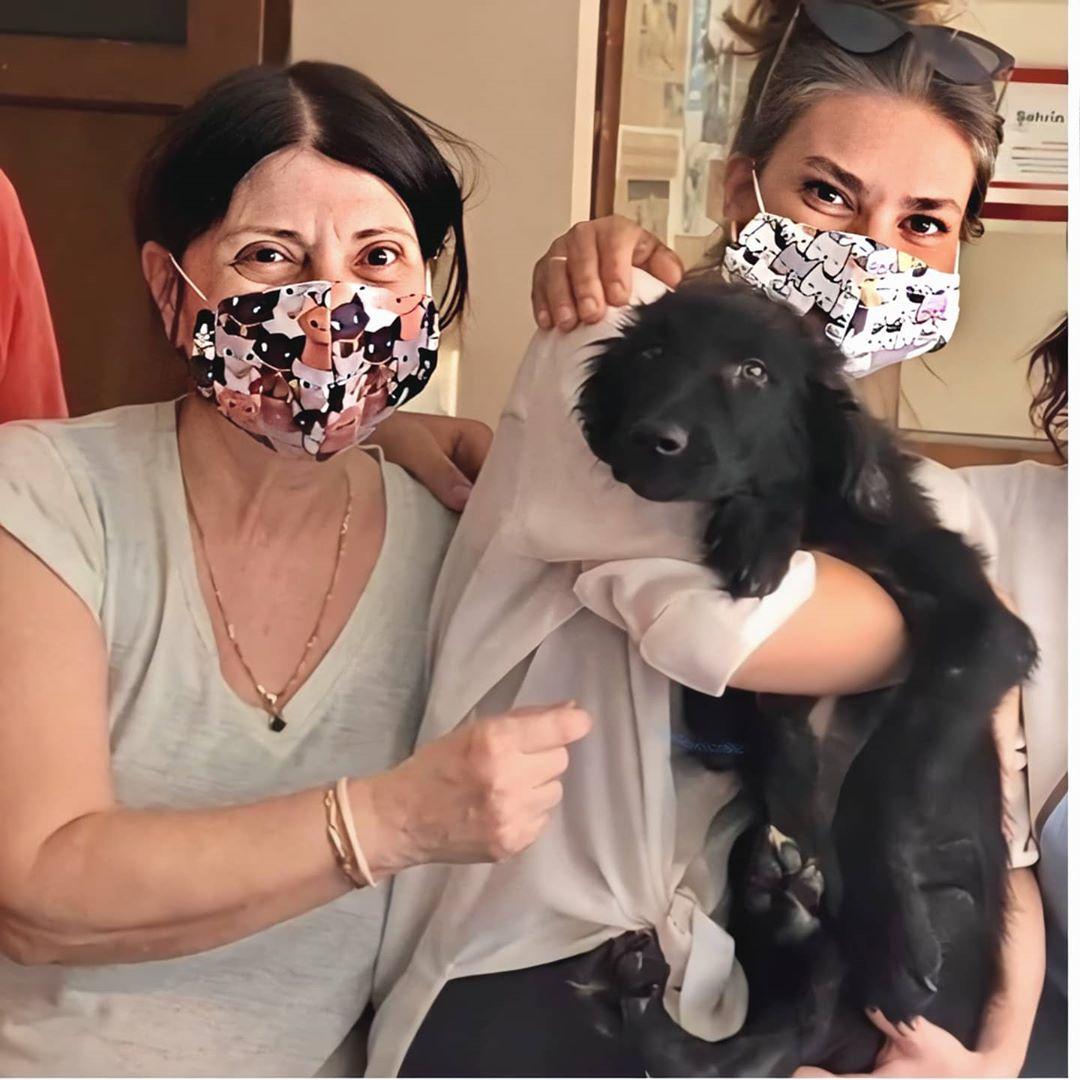 Aslı Enver, barınaktan köpek aldı