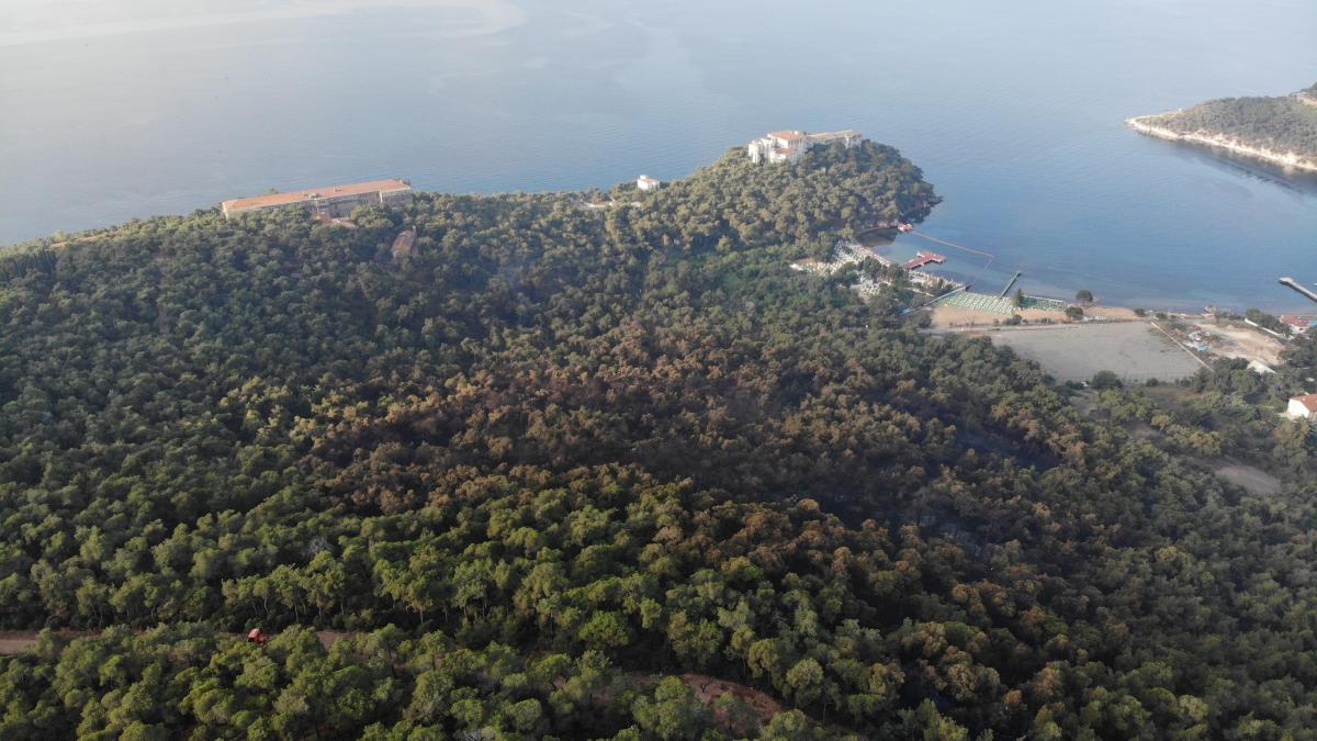 Heybeliada orman yangınında 3 gözaltı