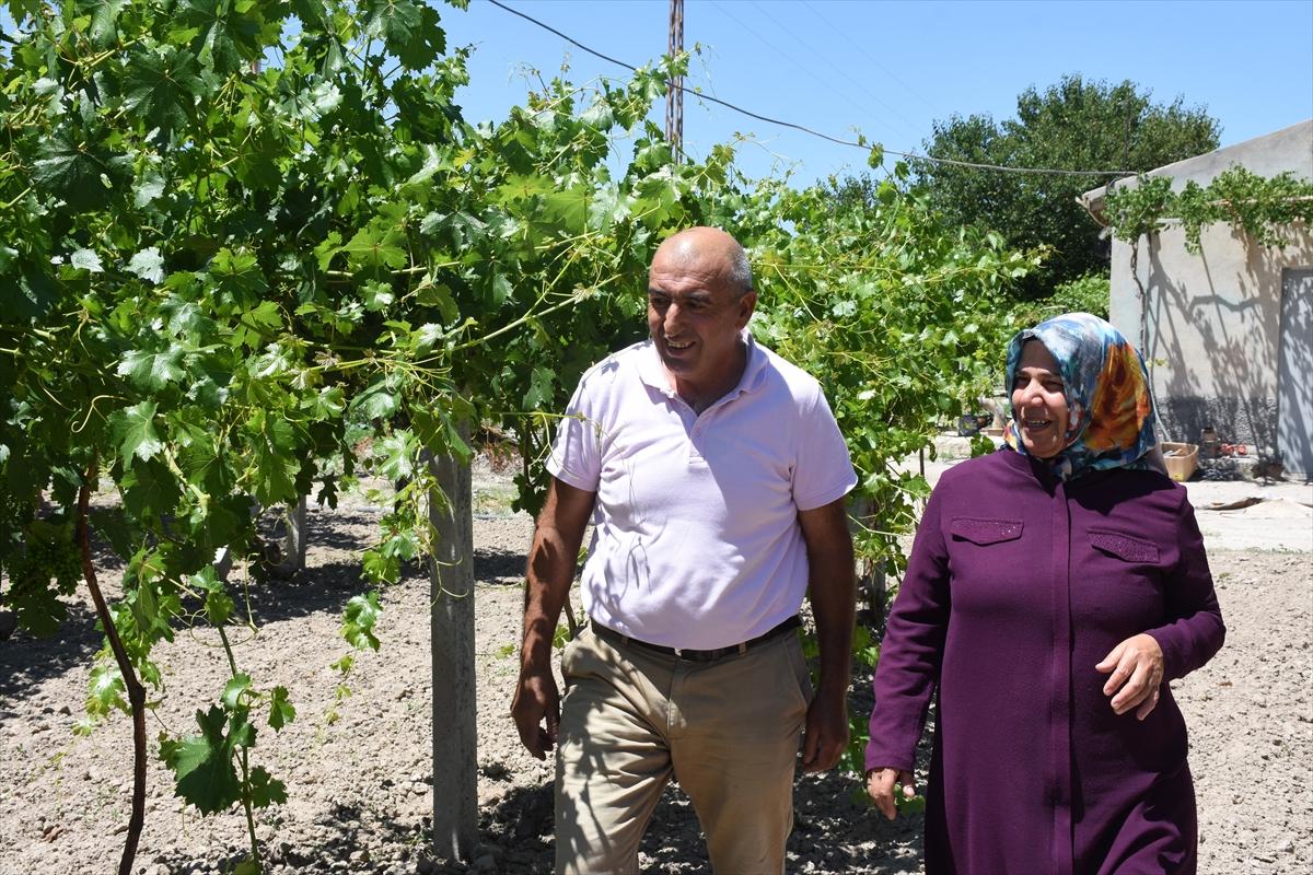 Şehit kızlarının diktiği fidanlarla ‘nefes’ alıyorlar