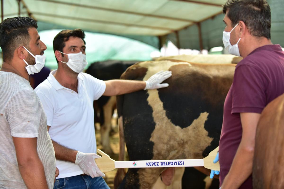 Antalya'da kurban pazarlarına özel ‘pazarlık kiti’