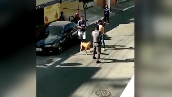 Brezilya polisinden, gözaltına alınan kişiye şiddet