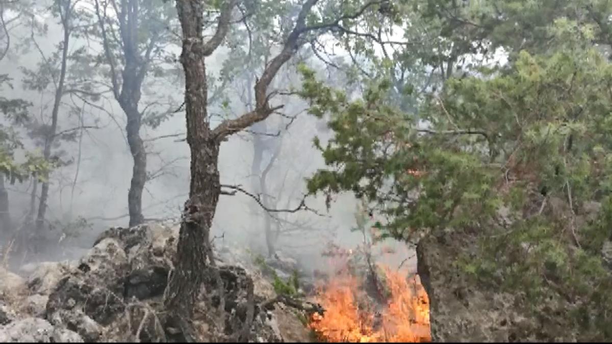 Adıyaman'da çıkan örtü yangını ormana sıçradı