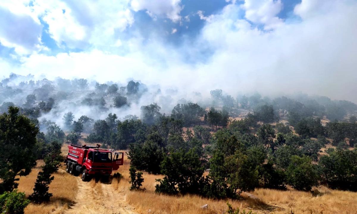 Adıyaman'da çıkan örtü yangını ormana sıçradı