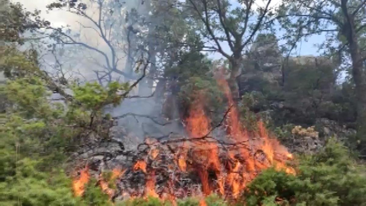 Adıyaman'da çıkan örtü yangını ormana sıçradı