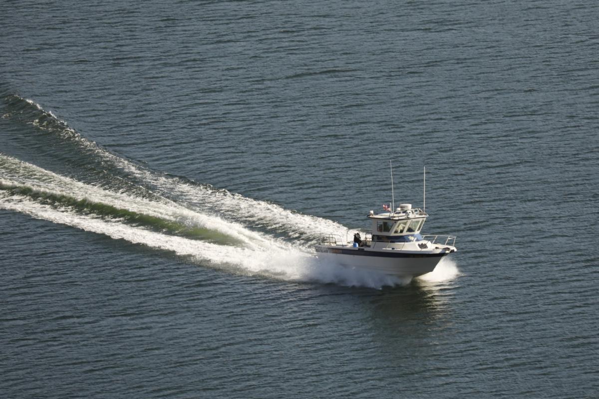 Naya Rivera'nın cesedi bulundu