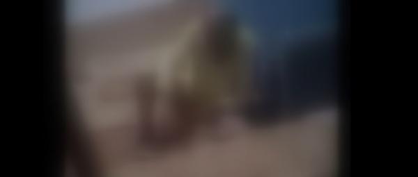 Köpeğe tecavüz ederken görüntülendi, gözaltına alındı