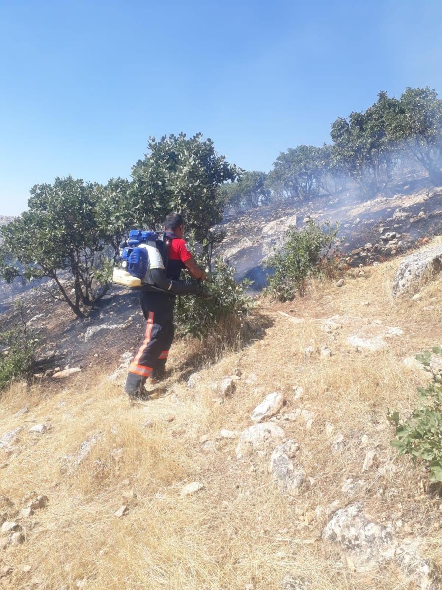 Mardin'de trafodan çıkan yangın 50 dönümü kül etti