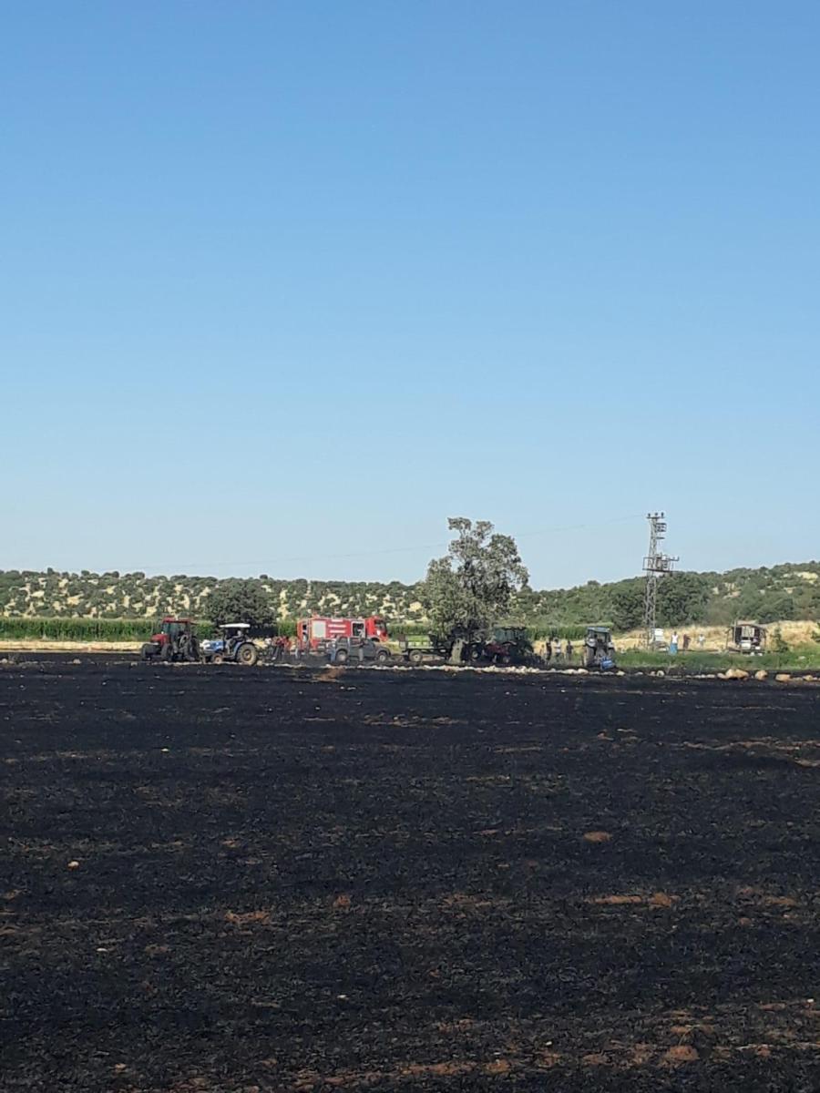 Mardin'de trafodan çıkan yangın 50 dönümü kül etti