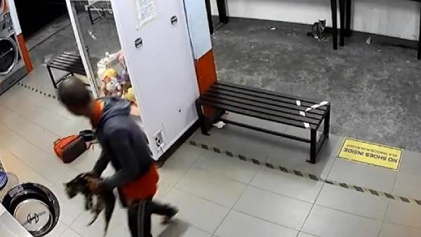 Malezya'da 3 kediyi çamaşır makinesine attı