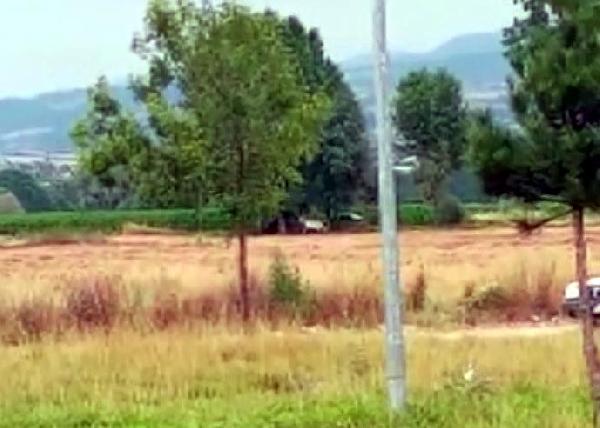 Bolu'da ata tecavüz etti