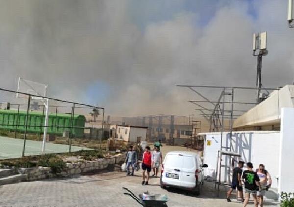 Alaçatı'daki orman yangını kontrol altına alındı