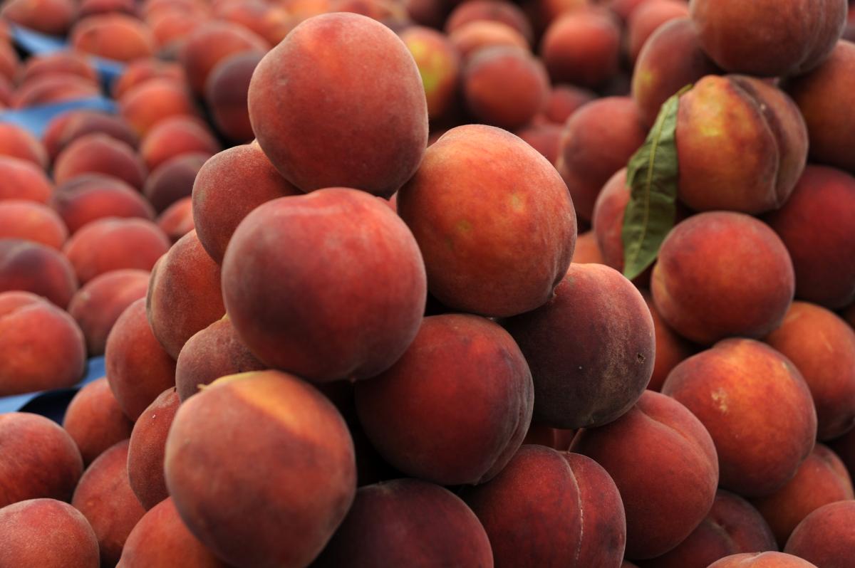 Şeftali, tarlada 2 markette 8 lira