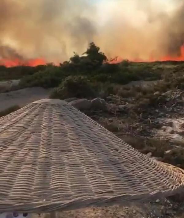 Alaçatı'daki orman yangını kontrol altına alındı