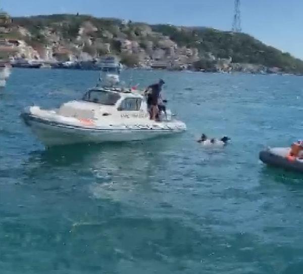 Sarıyer'de denize giren vatandaş, ölümden döndü