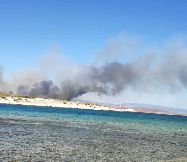 Alaçatı'daki orman yangını kontrol altına alındı