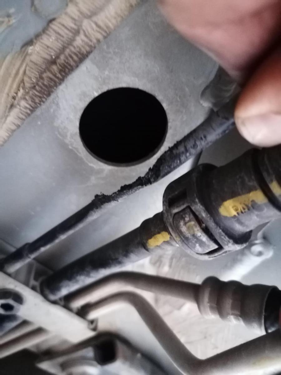 Ali Ağaoğlu'nun lüks aracını fareler kemirdi