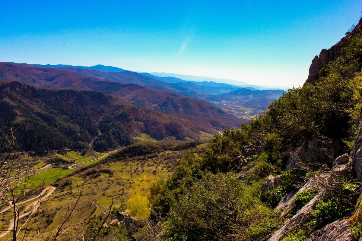 Dünyada sadece Bartın’da olan bitki türü keşfedildi