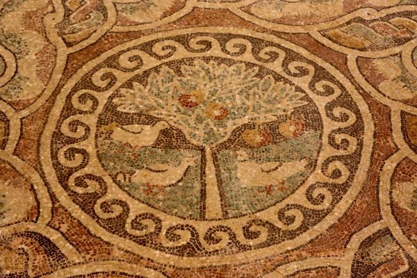 Amasya'da kaçak kazıda bulunan elma mozaiği, sergileniyor