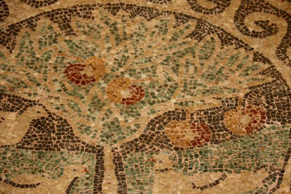 Amasya'da kaçak kazıda bulunan elma mozaiği, sergileniyor