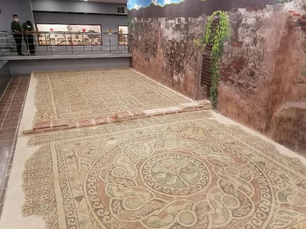 Amasya'da kaçak kazıda bulunan elma mozaiği, sergileniyor