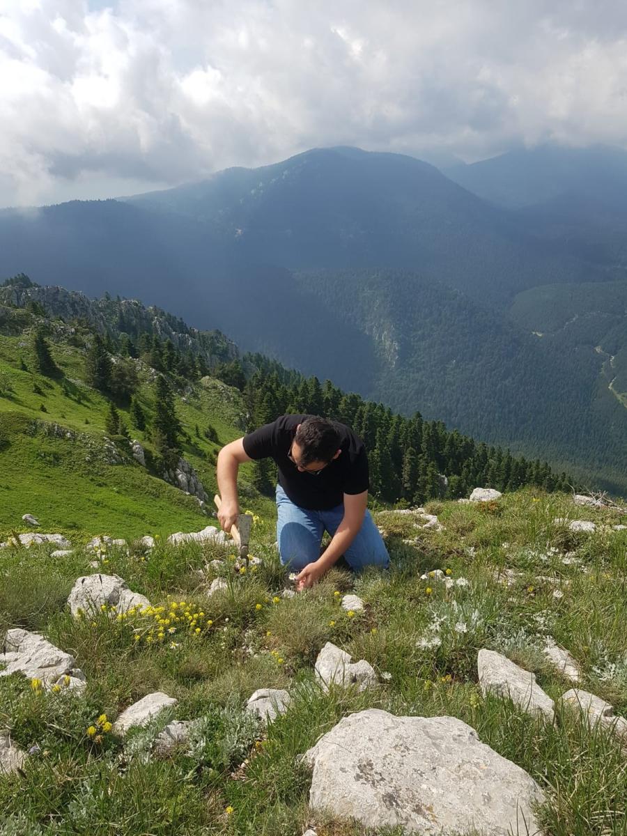 Dünyada sadece Bartın’da olan bitki türü keşfedildi