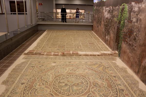 Amasya'da kaçak kazıda bulunan elma mozaiği, sergileniyor