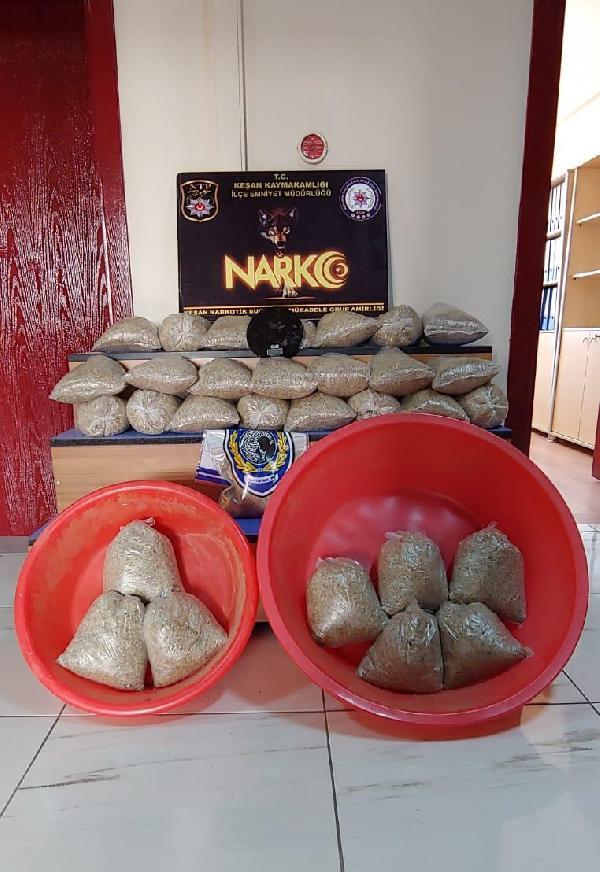 Edirne’de evde bulunan 15 kiloluk bonzai leğenle taşındı