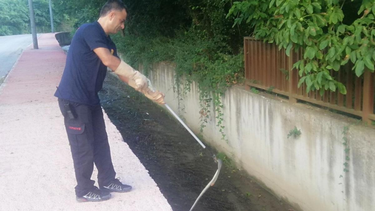 Kocaeli'nde tandıra giren yılan yakalandı
