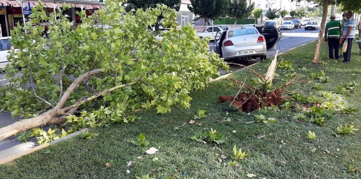 Gaziantep'te ehliyetsiz sürücü yoldan çıkıp kaza yaptı