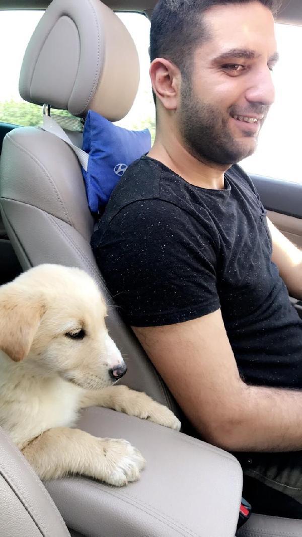 Hatay'da bıçakladığı köpeği, serbest kalınca öldürdü