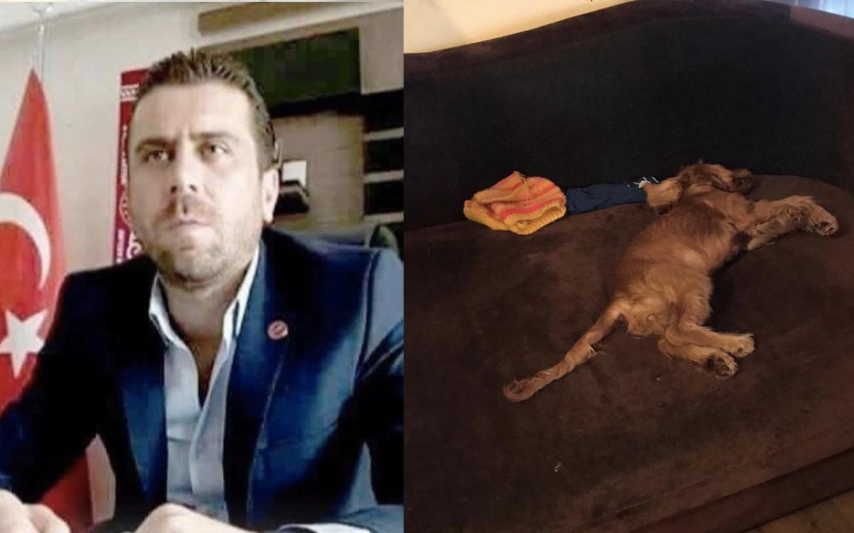 Köpeğe tecavüz edip öldürmekle suçlanan şahıs tutuklandı