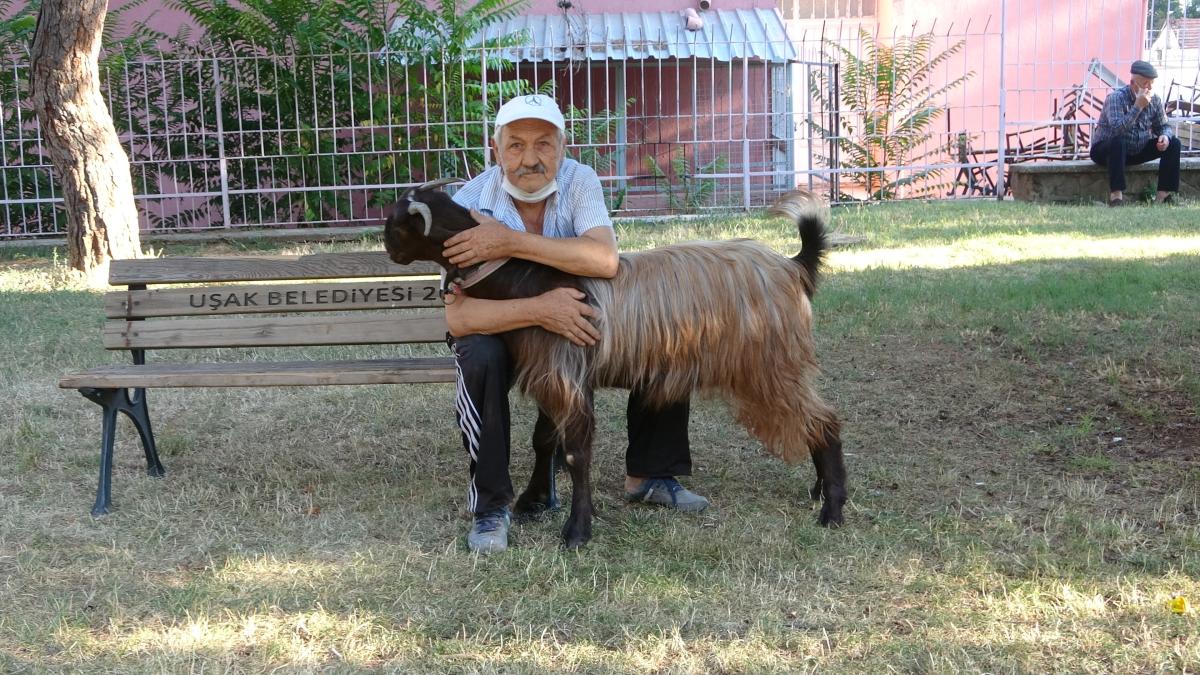Uşak'ta sıkılınca sahiplendiği keçiyle dost oldu