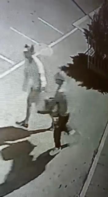 Bursa'da Atatürk büstlerini çalan hırsızlar yakalandı