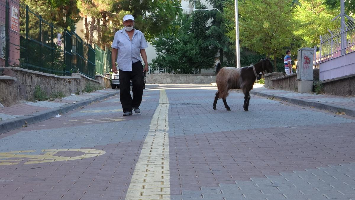 Uşak'ta sıkılınca sahiplendiği keçiyle dost oldu