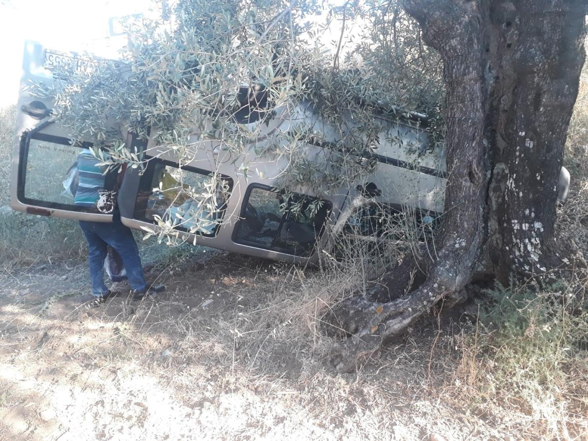 Balıkesir'de araç tarlaya uçtu: 7 yaralı