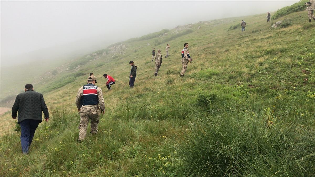 Giresun'da kayıp Elif Akbayrak hala aranıyor