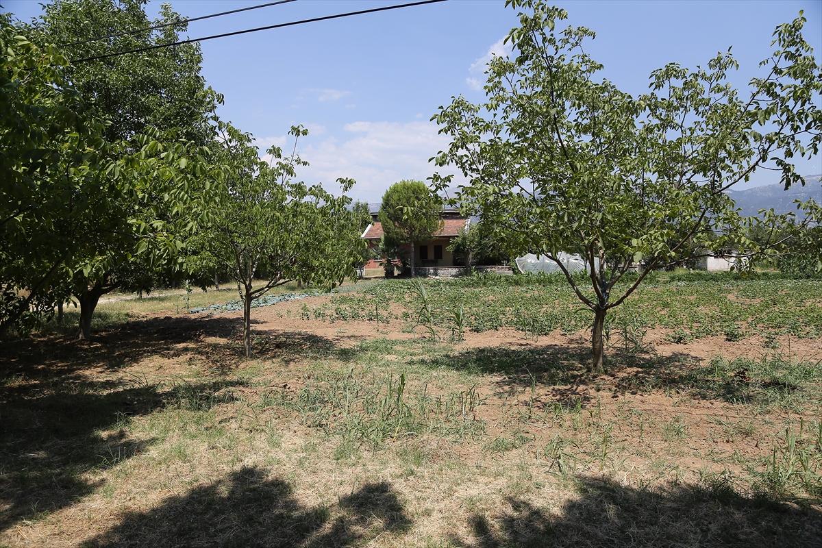 Pınar Gültekin'i anılarıyla yaşatmaya çalışıyorlar