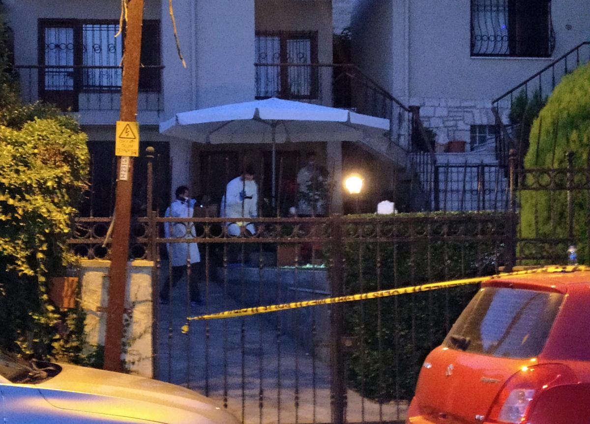 İstanbul'da eşini ısıran köpeği silahla vurdu