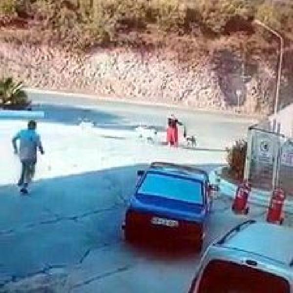 Muğla'da 6 köpeğin saldırısına uğrayan kadın