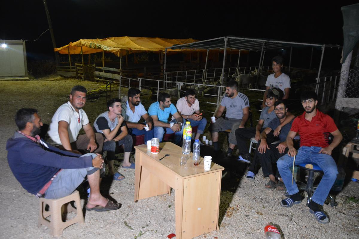 Bursa’da besiciler kurbanlıkları ile yatıyor